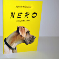 Nero – Das Buch