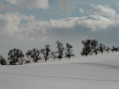 März 2009