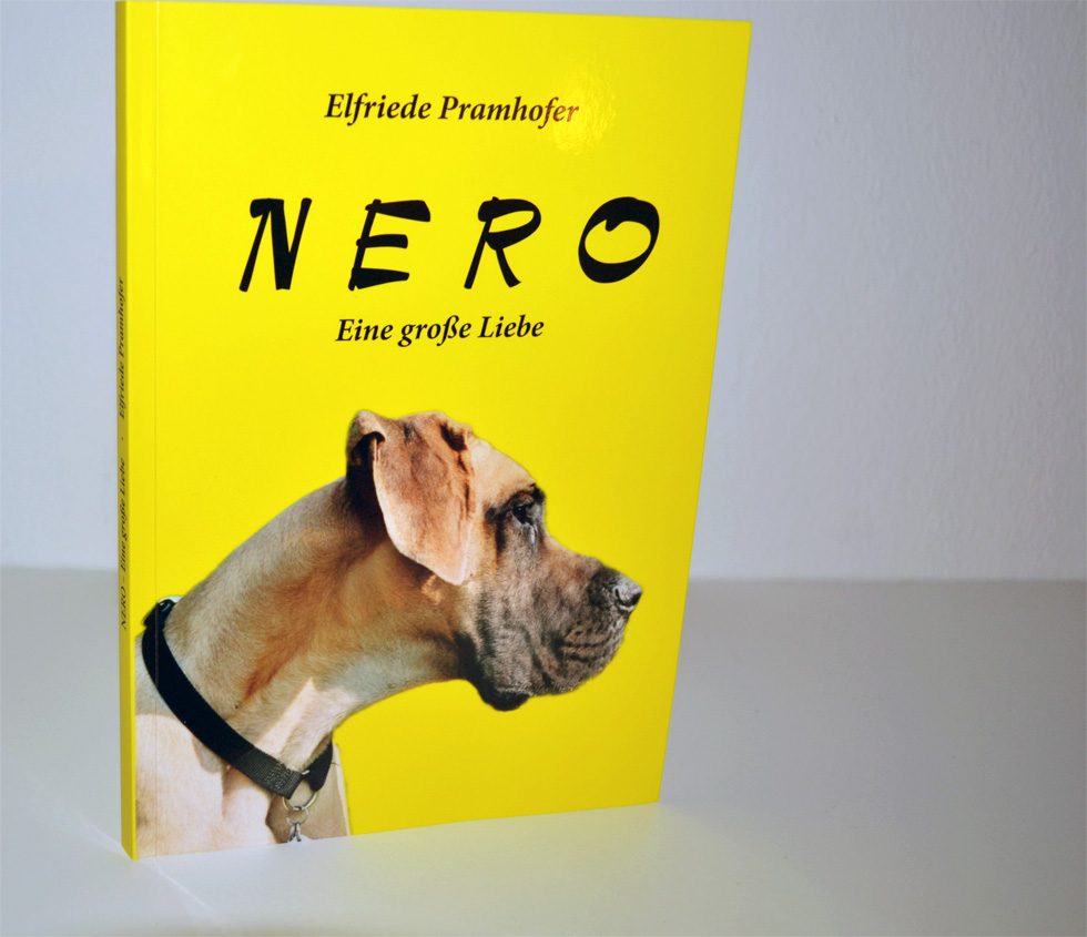 Nero – Das Buch