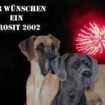 Silvester 2001