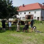 Vor einem Bauernhaus