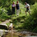 Mit Leipziger Freunden durch den Wald