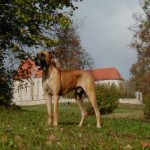 Nero in St. Peter am Nationalfeiertag 2001