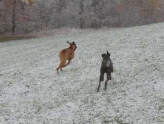 Der erste Schnee ist da!