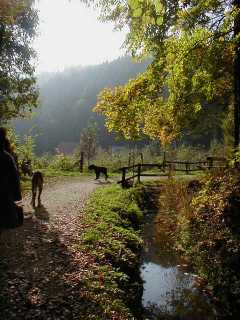Mit den Schlunzis im Thurytal