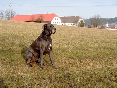 März 2008