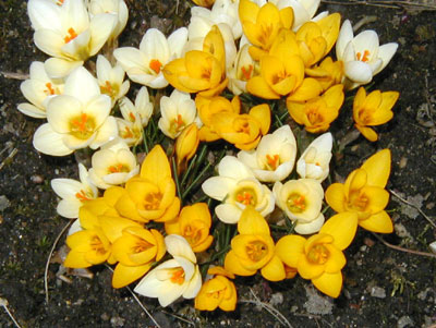 April 2009