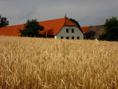 August 2010