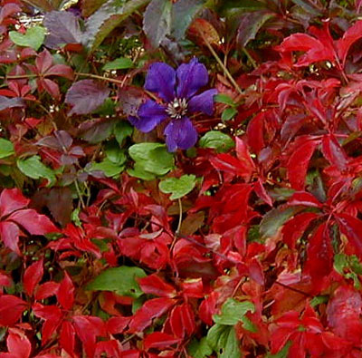 Oktober 2009: Herbstbeginn