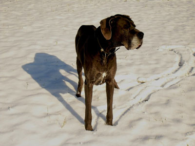 Dezember 2010
