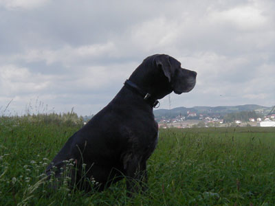 September 2009: Der Herbst lässt grüßen