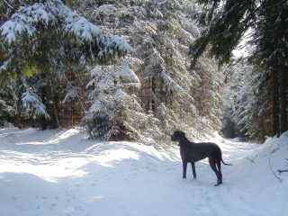 Winter hat Freistadt noch fest im Griff