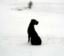 Endlich wieder Schnee!!