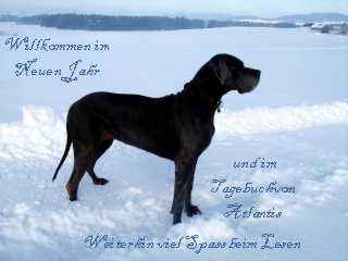 Neujahr 2006